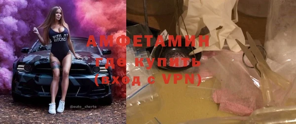 винт Лагань