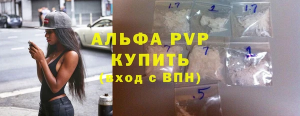 дживик Козельск