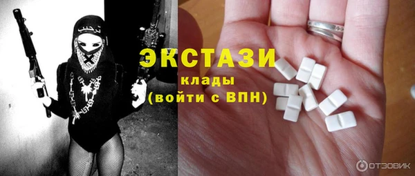 винт Лагань