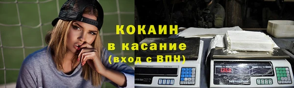 винт Лагань