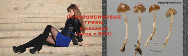 MESCALINE Лабытнанги