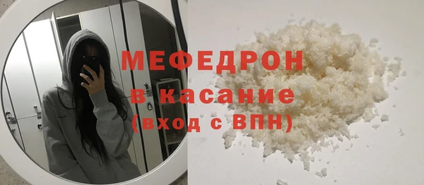 винт Лагань