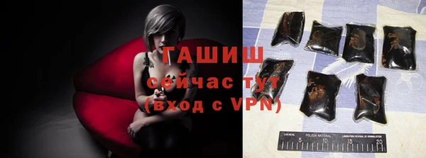 винт Лагань