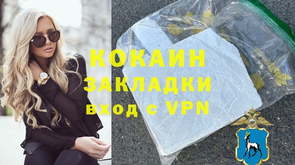 винт Лагань