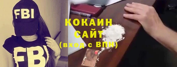 винт Лагань