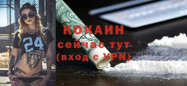 винт Лагань