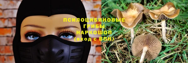винт Лагань