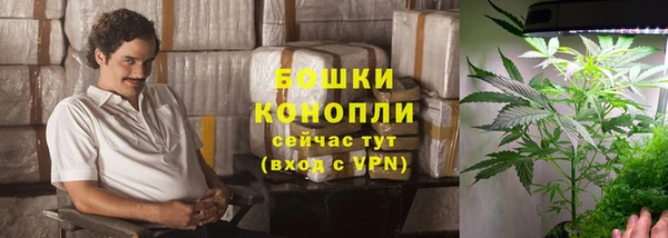 винт Лагань